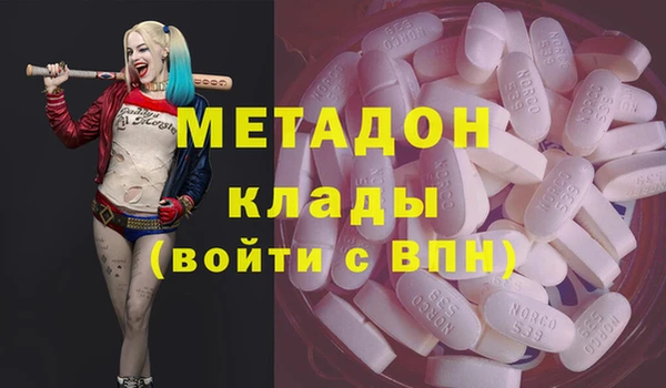 амф Дмитриев