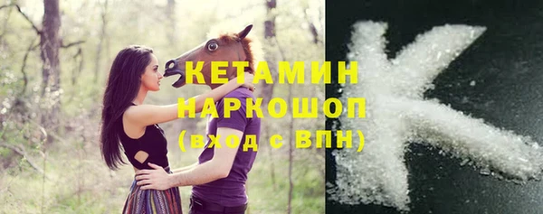 амф Дмитриев
