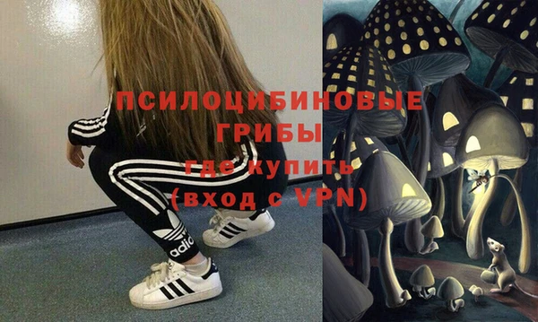 амф Дмитриев