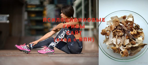 дурь Елизово