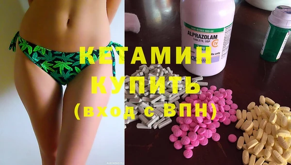 амф Дмитриев