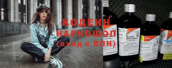 амф Дмитриев